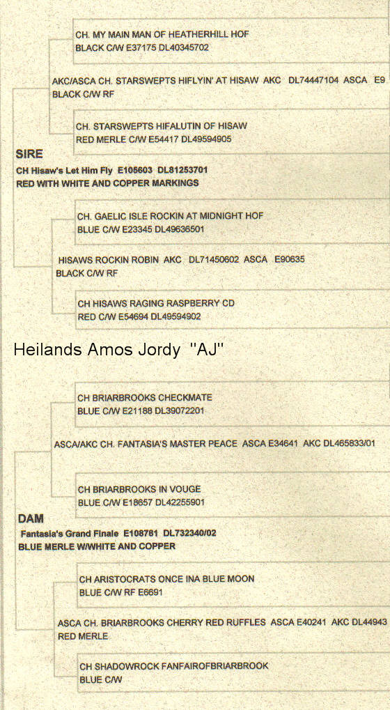 ajpedigree.jpg
