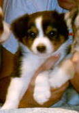 littygirl.jpg